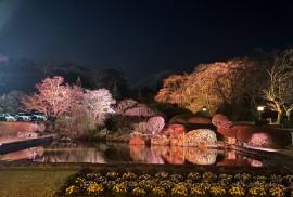 富士ビューホテルの正面玄関の夜景